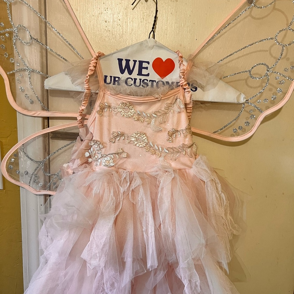 Pottery Barn Pink Fairy Dress with Wings